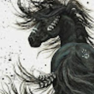 Meet your Posher, Tamara